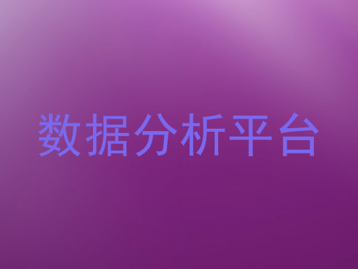 数据分析平台