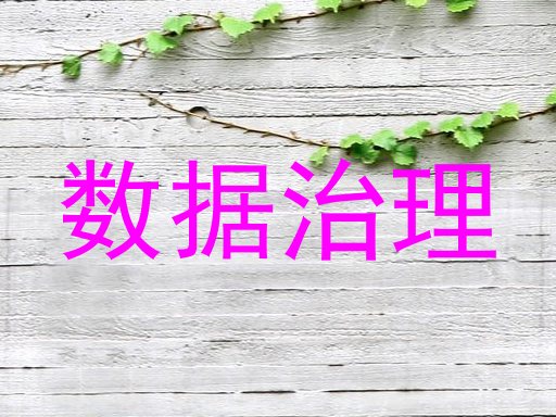 数据治理