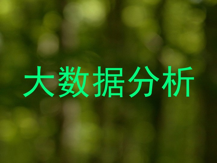 大数据分析