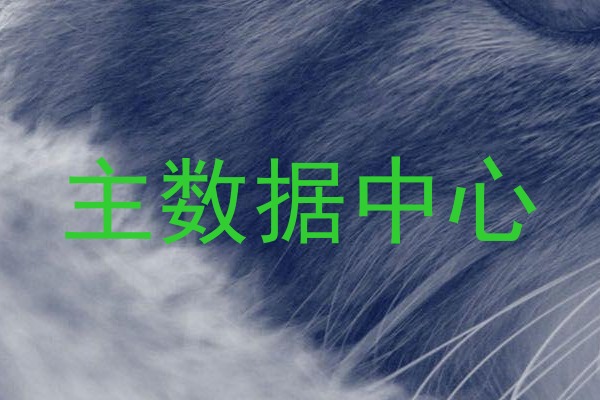 主数据中心