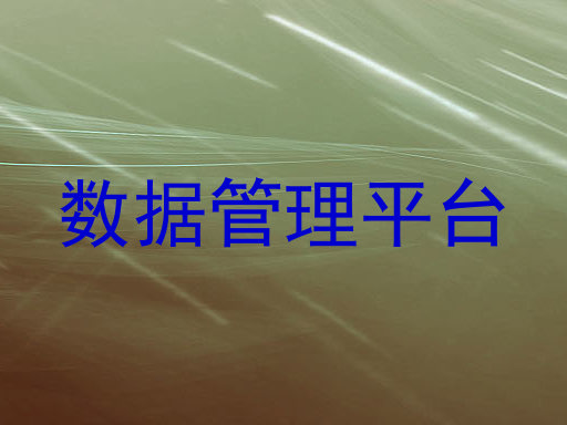 数据管理平台