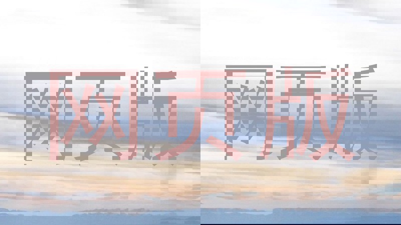网页版