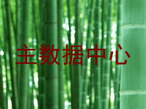 主数据中心