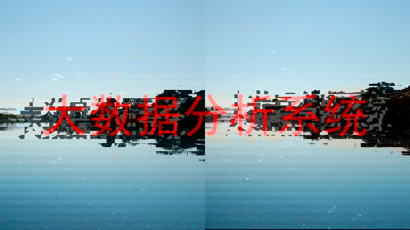 大数据分析系统