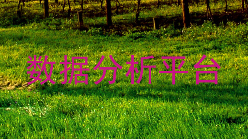 数据分析平台