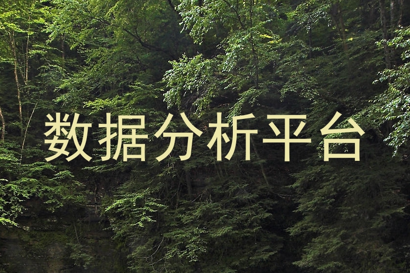 数据分析平台