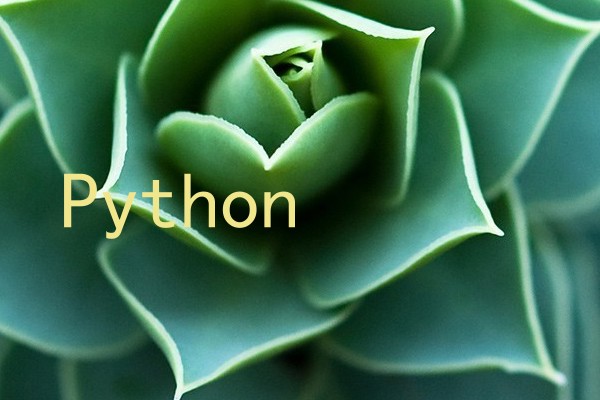 Python