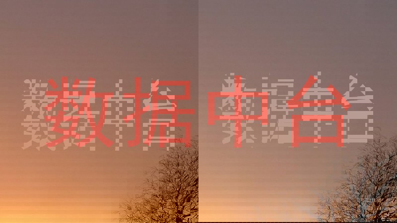 数据中台