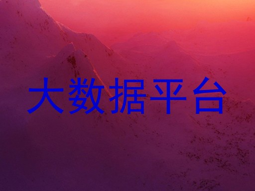 大数据平台