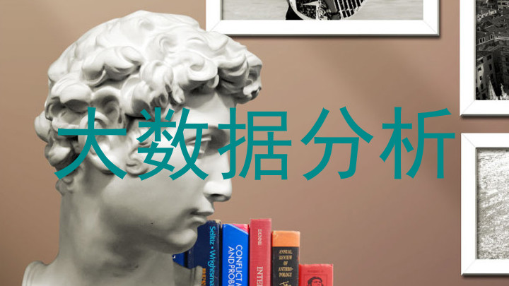大数据分析