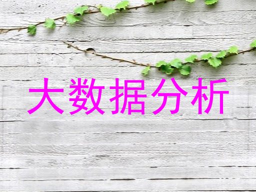 大数据分析
