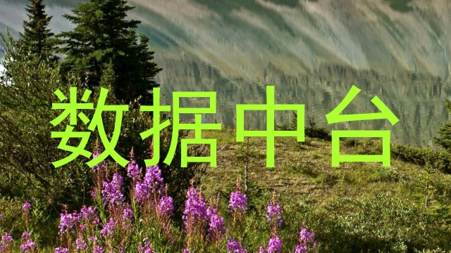 数据中台