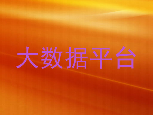 大数据平台