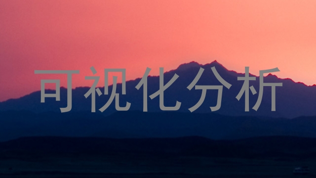 可视化分析