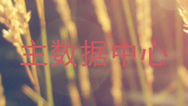 主数据中心