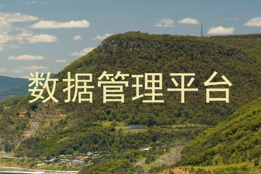 数据管理平台
