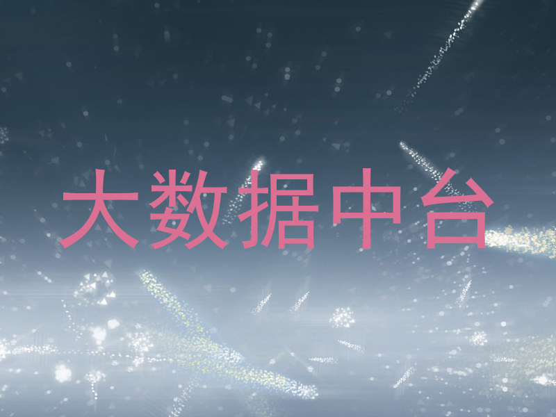 大数据中台