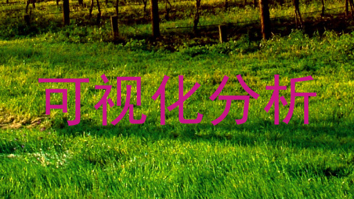 可视化分析