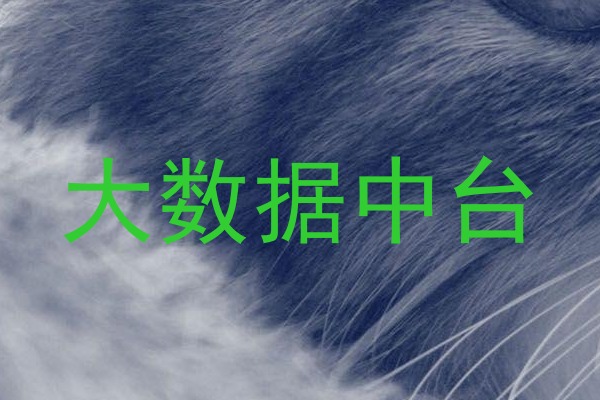 大数据中台