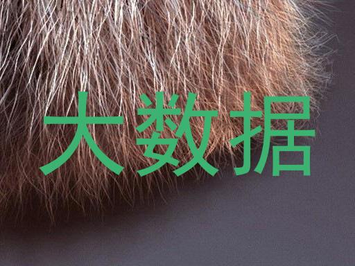 大数据
