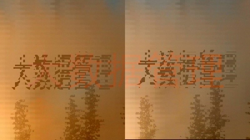 大数据管理