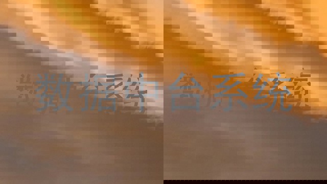 数据中台系统
