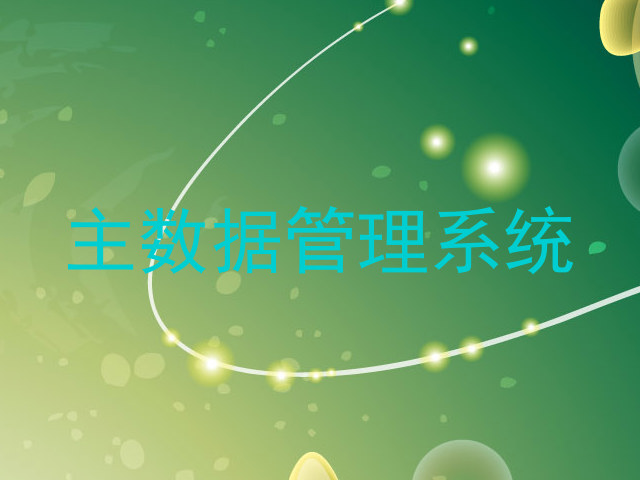 主数据管理系统