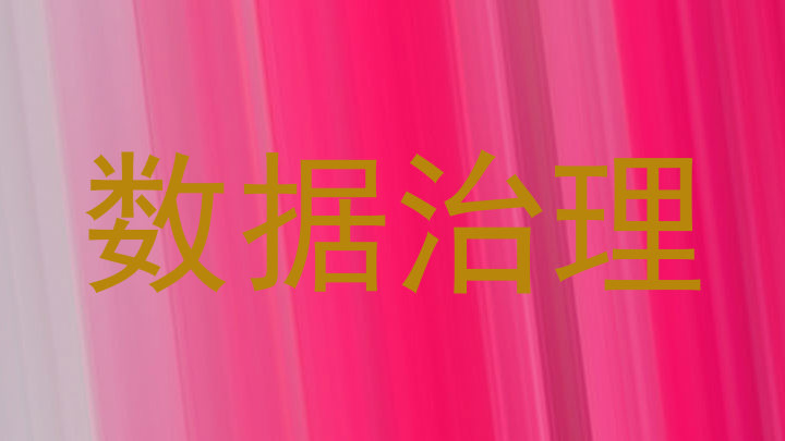 数据治理