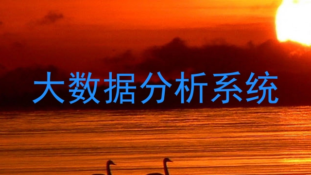 大数据分析系统