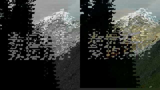 数据分析