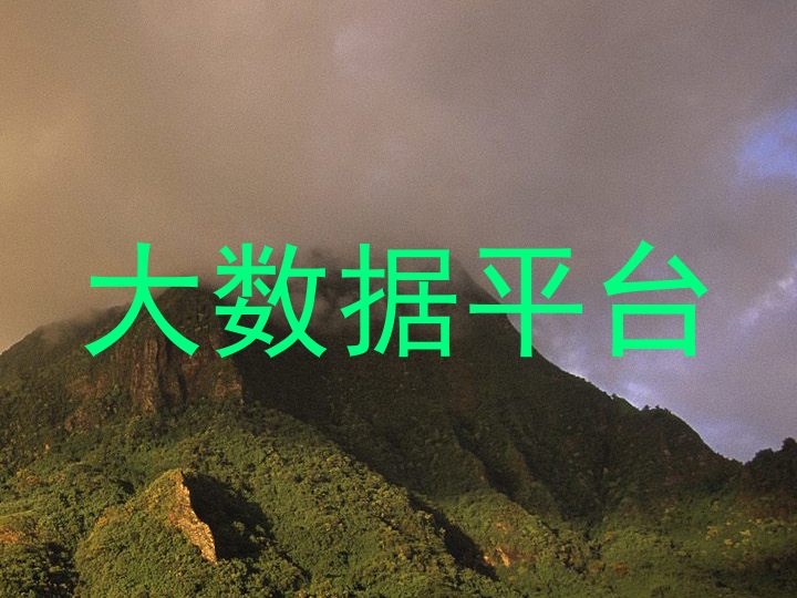 大数据平台