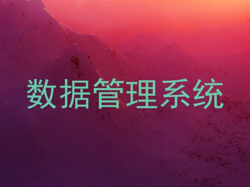 数据管理系统
