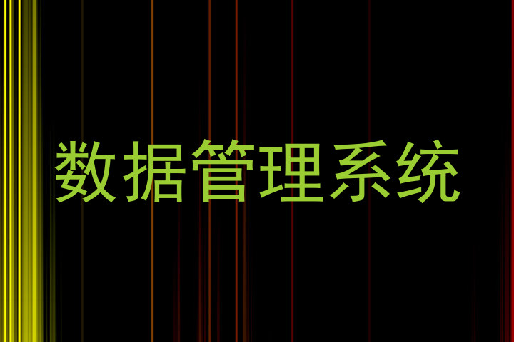 数据管理系统