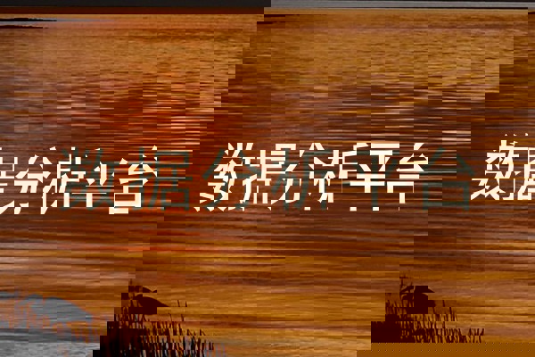 数据分析平台