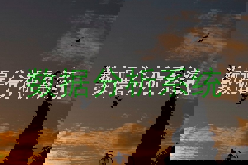 数据分析系统