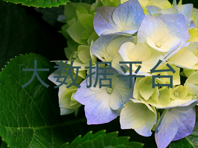大数据平台