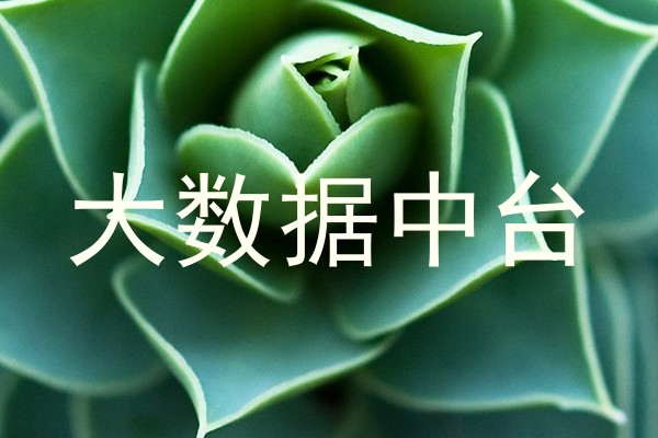 大数据中台