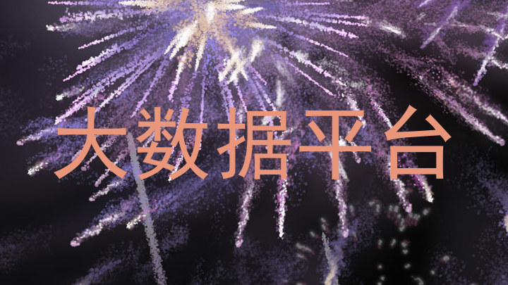 大数据平台
