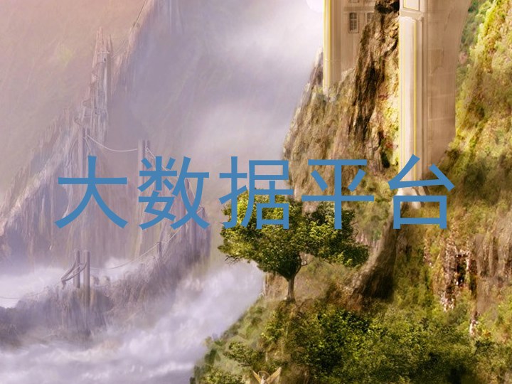 大数据平台