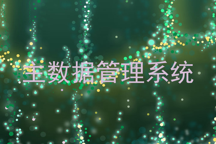 主数据管理系统