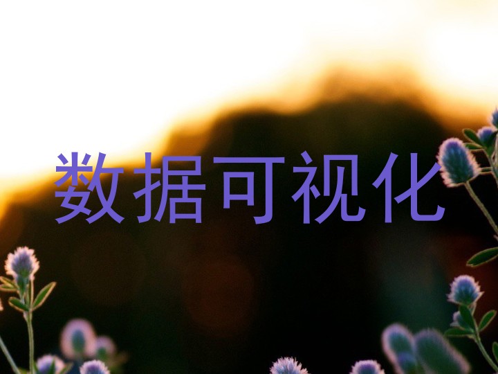 数据可视化