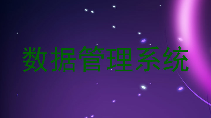 数据管理系统