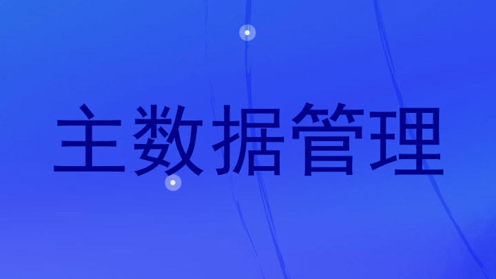 主数据管理