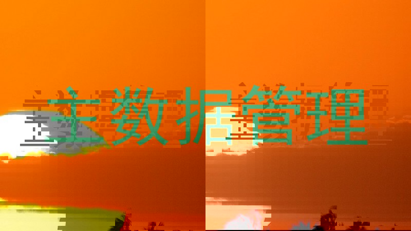 主数据管理