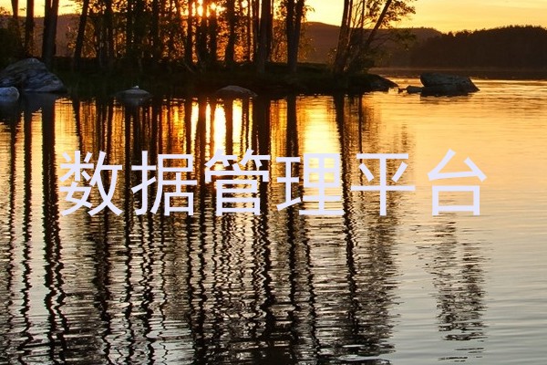 数据管理平台