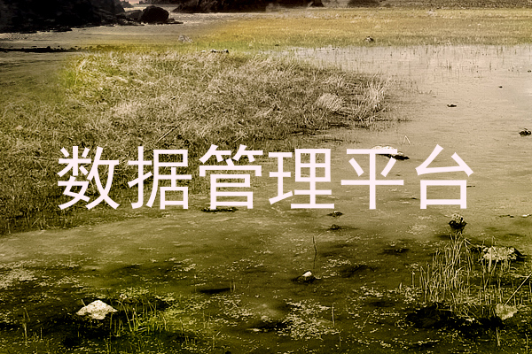 数据管理平台