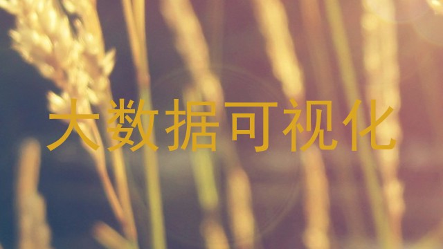大数据可视化