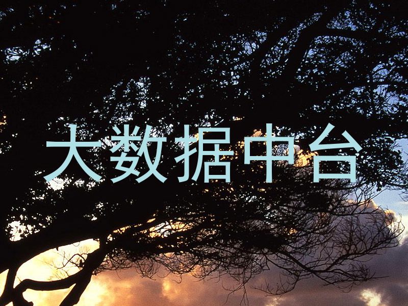 大数据中台