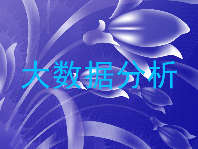 大数据分析
