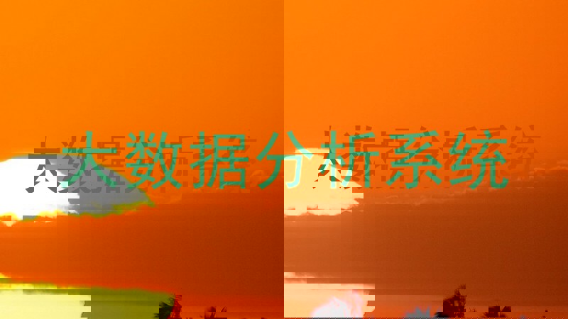 大数据分析系统